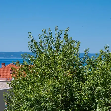 Apartament Sani Makarska