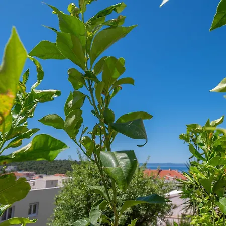 Appartamento Sani Makarska