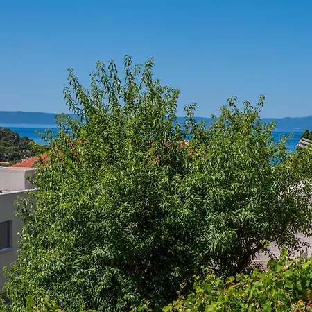 Apartman Sani Makarska